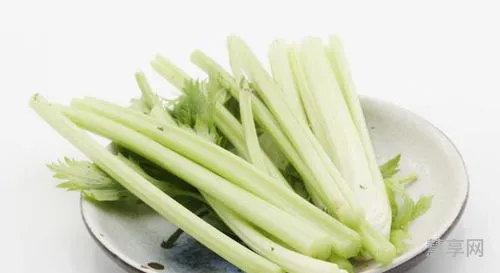 为什么芹菜叶子不能吃(芹菜叶毒性有多大)