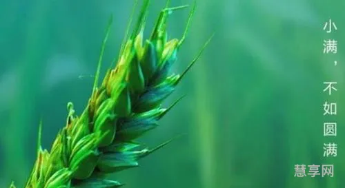 小满是什么季节(二十四节气表)