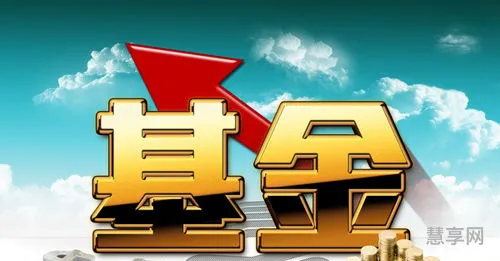 基金怎么玩新手入门(日收益投资app)