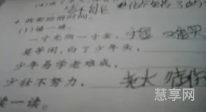 莫等闲的下一句(莫等闲的后面两句是什么)