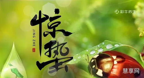惊蛰寓意是什么意思(惊蛰代表人生的寓意)