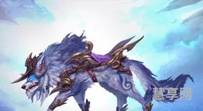 远征ol坐骑(远征ol官方网站)