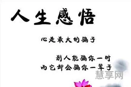 感悟人生的句子(人生感悟 :致自己 !(精辟))