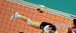 2006亚运会(2006羽毛球世界杯)