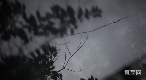 冬月是哪一个月(农历十二个月的叫法)