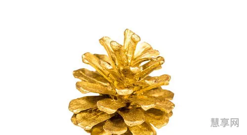 冒险岛一朵玫瑰花(冒险岛魅力30级任务一朵玫瑰)