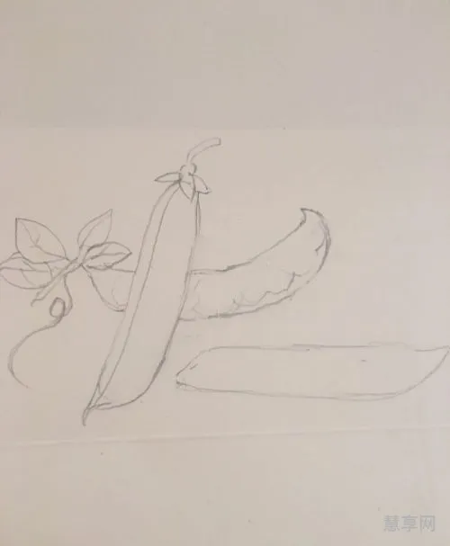 豌豆的豌组词(豌组词二字2个)
