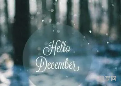 12月的句子短句唯美(十二月最好的句子)