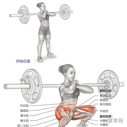 关于下肢力量的信息(人的力量与什么有关)