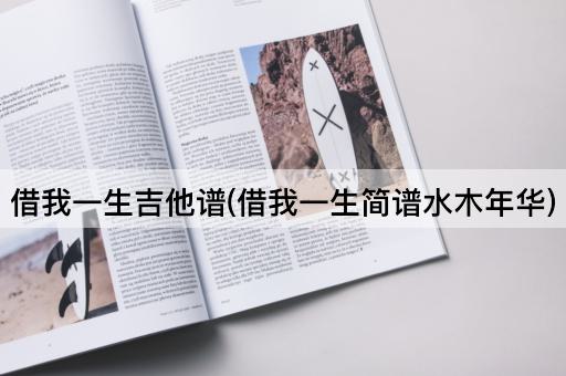 借我一生吉他谱(借我一生简谱水木年华)