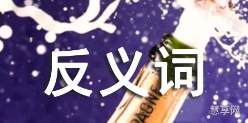 抱怨的反义词是什么(抱怨的文雅说法)