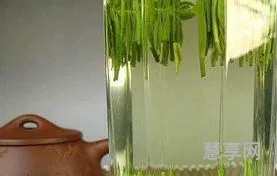 太湖翠竹价格(太湖翠竹属于什么档次)