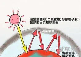 温室效应的危害(温室效应造成的影响)