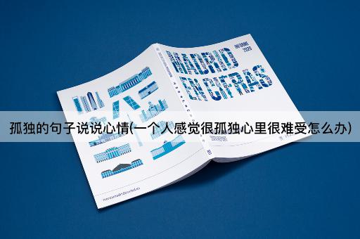 孤独的句子说说心情(一个人感觉很孤独心里很难受怎么办)