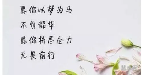 以梦为马不负韶华的意思(心中有光,脚下有路,梦想终将绽放)
