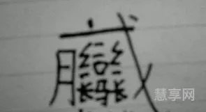 打不出字怎么办(手机无法打字怎么办)