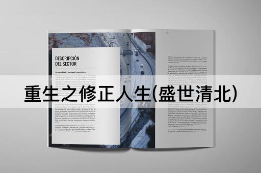 重生之修正人生(盛世清北)