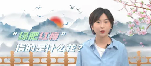 绿肥红瘦分别指什么花(李清照的如梦令红瘦指的是什么花)
