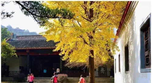 宋代四大书院(宋代四大书院中位于江西的是)