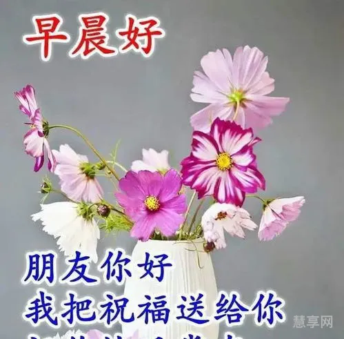 祝福话语简洁的经典(祝福寄语简短)