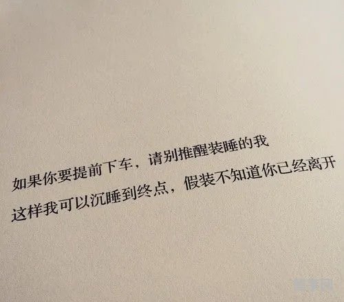 从你的全世界路过语录(全世界路过经典台词)