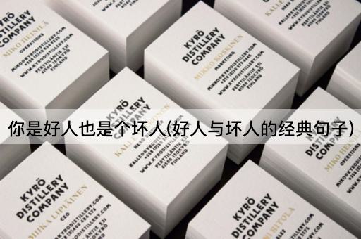 你是好人也是个坏人(好人与坏人的经典句子)