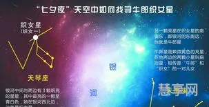 坐看牛郎织女星(牛郎星长什么样子图片)