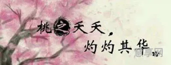 桃之夭夭灼灼其华什么意思(男生对女生说桃之夭夭灼灼其华)