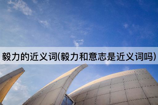 毅力的近义词(毅力和意志是近义词吗)