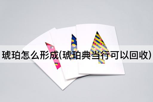 琥珀怎么形成(琥珀典当行可以回收)