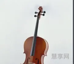 大提琴有几根弦(大提琴结构)