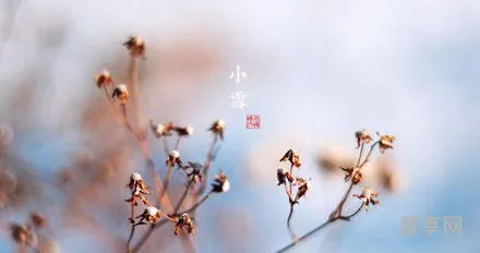 2020年小雪(2020小雪是哪一天什么时间)