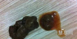小狗拉稀了怎么办(狗拉稀用什么药最快)