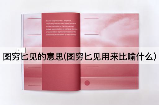 图穷匕见的意思(图穷匕见用来比喻什么)