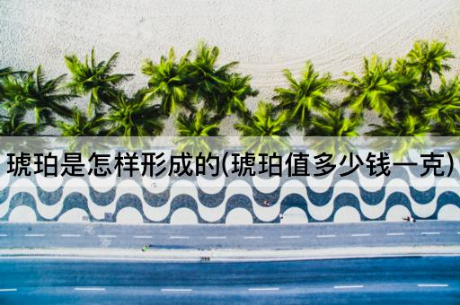 琥珀是怎样形成的(琥珀值多少钱一克)