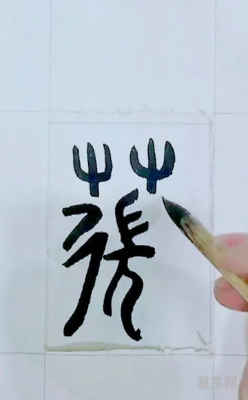 草字头有什么字(取名带草字头的字)