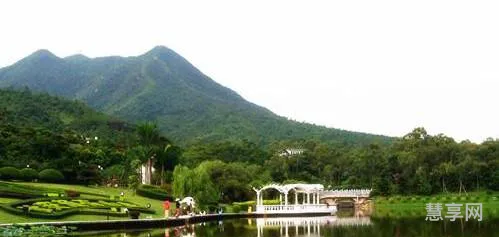 东莞长安莲花山(东莞莲花山旅游风景区图片)