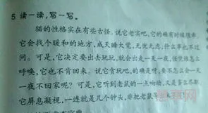 寻觅的近义词是什么(和寻觅类似的词语)