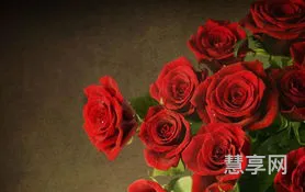 生日送什么花(送女性朋友生日的花束)