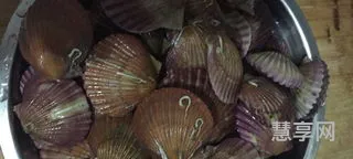 扇贝蒸几分钟(蒸扇贝冷水下锅10分钟能熟吗)