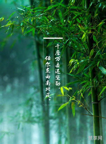 励志诗词大全(积极向上的古诗词硬笔书法作品)
