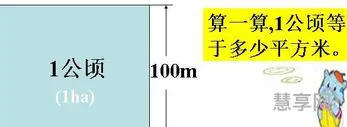 公顷与亩的换算(土地亩数计算器)