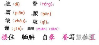 蝠组词2个字(蝠的二字词语)