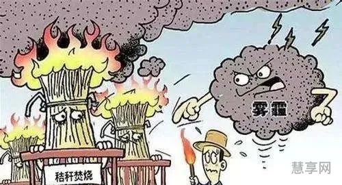 空气污染的危害(空气污染对人类的影响)