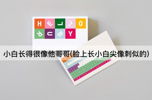 小白长得很像他哥哥(脸上长小白尖像刺似的)