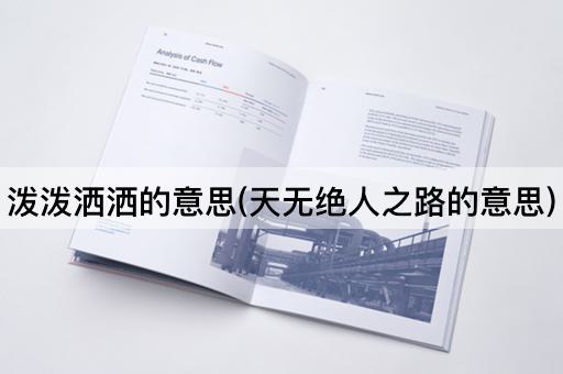 泼泼洒洒的意思(天无绝人之路的意思)