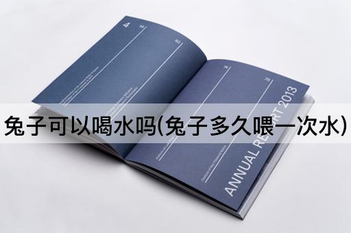 兔子可以喝水吗(兔子多久喂一次水)