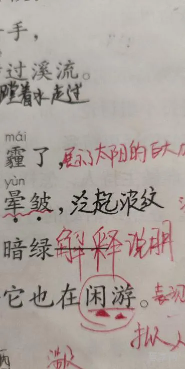 晕皱的意思是什么(晕皱的读音)