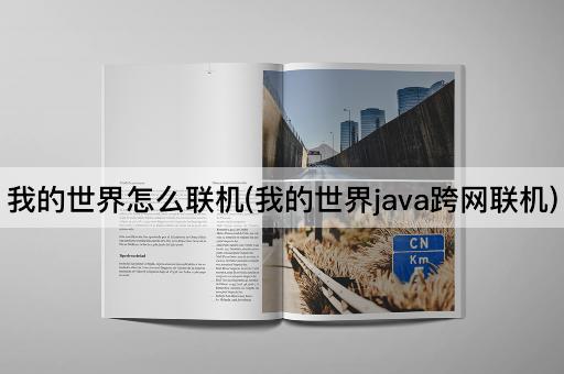 我的世界怎么联机(我的世界java跨网联机)