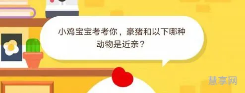 豪猪和哪种动物是近亲(豪猪是群居动物吗)